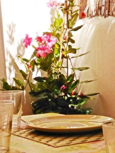 Casa Dos Angeles - Im Sonnigen S�den Teneriffas