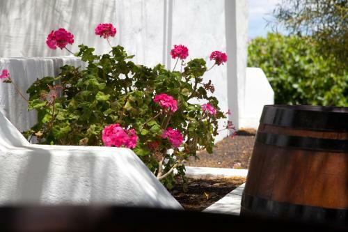 Villa Martin�n