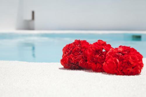 Villa Martin�n