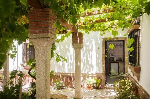 Apartamento La Jandeta 2
