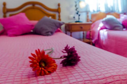 Apartamento Calle Alta