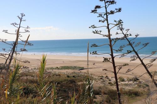 Apartamento Planta Baja