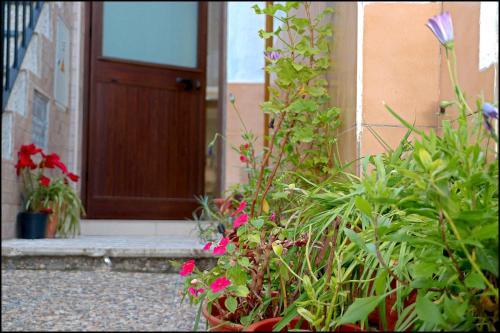 Apartamento J�bega