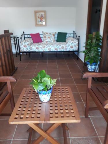 Villa Albara