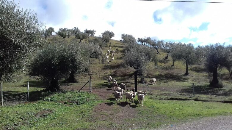 Hostal Finca La Carnicera