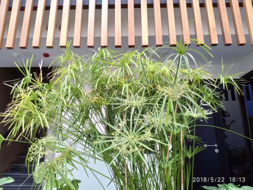 Apartamentos C�rdoba Atrium