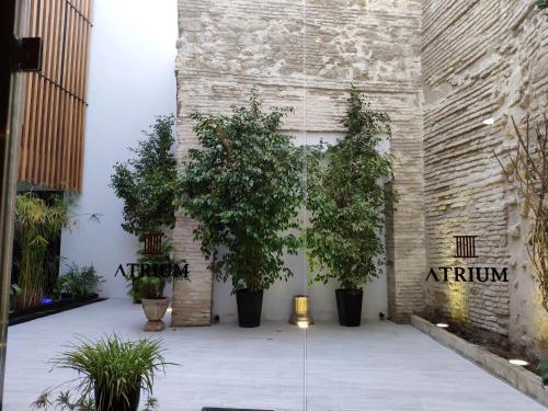 Apartamentos C�rdoba Atrium
