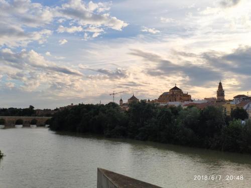 Apartamentos C�rdoba Atrium