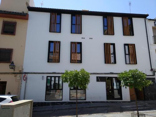 Apartamentos C�rdoba Atrium