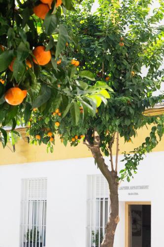 Apartamento Meilan House