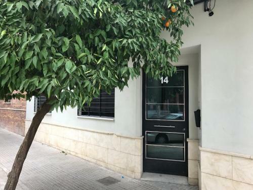 Apartamento Mi Goya