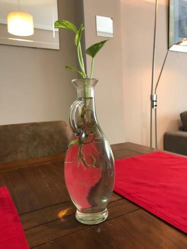 Apartamento Mi Goya
