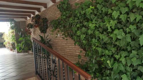 Apartamento San Pedro Cordoba Centro