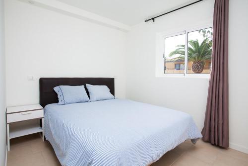 Billabong Surf Apartments
