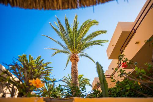 Apartamento Dunas Tropical 1 And 2