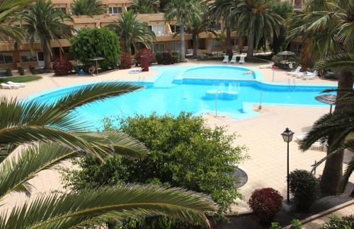 Apartamento Dunas Mango