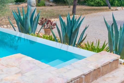 Villa Can Pina - Adults Only (eco Cascada)