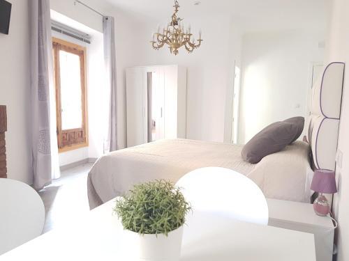 Hostal Casa Botes