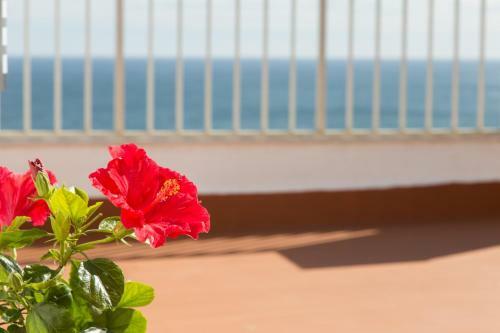 Apartamento Lighthouse Cullera Penthouse