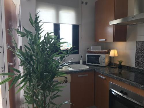 Apartamento Mar De Bellreguard D
