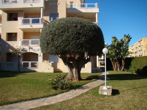 Apartamento Hort 2