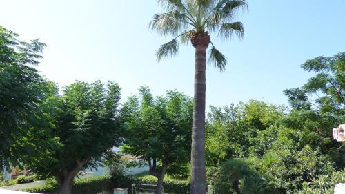 Apartamento El Olivar Denia El Conserje