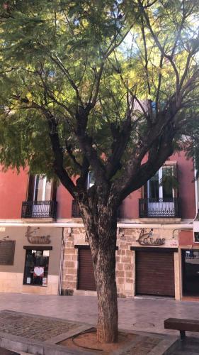 Apartamento Denia Loft