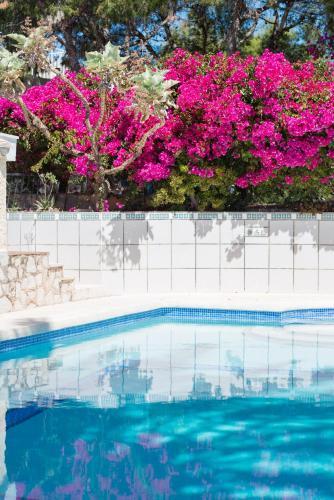 Coveta Fuma House
