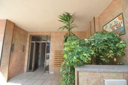 Apartamento Rnet - Estrella De Mar Roses