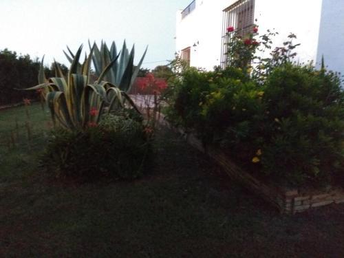 El Mirador De Castilnovo