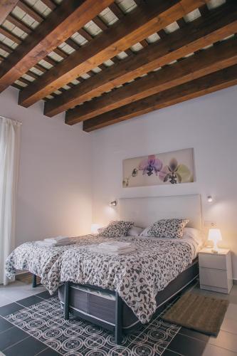 Apartamentos Casa Palacio
