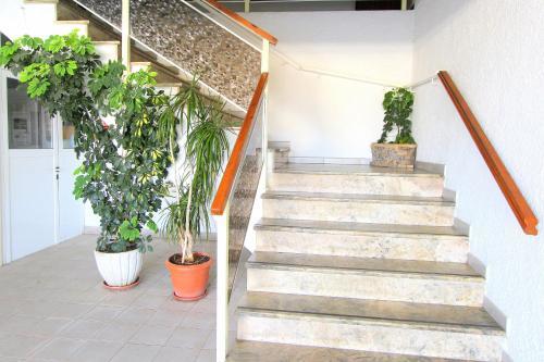 Apartamento Delta Muga 11 M - 10195