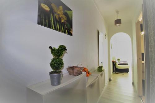 Apartamento Sylvia 11d1