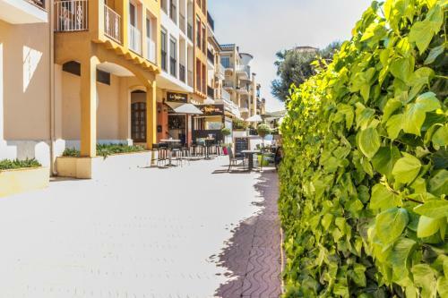 Apartamento Gran Reserva 2-18