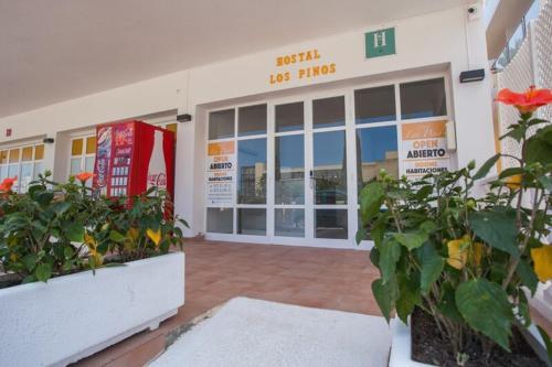 Albergue Hostal Los Pinos