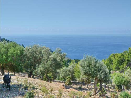 Three-bedroom Holiday Home In Estellencs