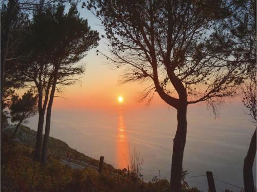 Three-bedroom Holiday Home In Estellencs