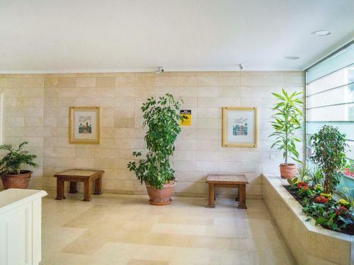 Apartment Puerto Para�so II