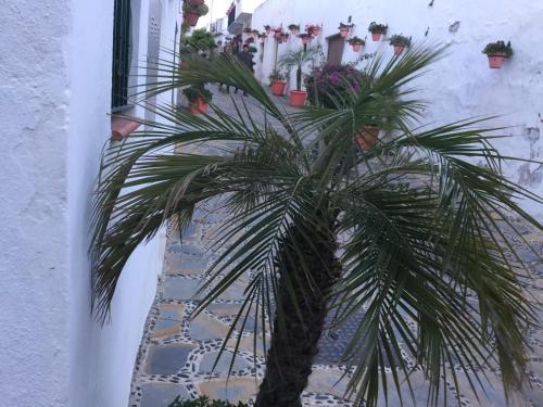 Apartamento Calle Casares N�mero 1