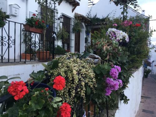 Apartamento Calle Casares N�mero 1