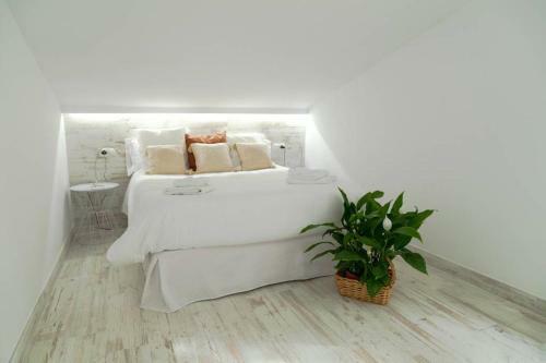 Apartment Av. Del Pirata