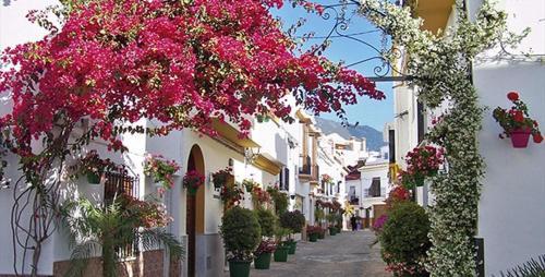 Apartamentos Turisticos Monike