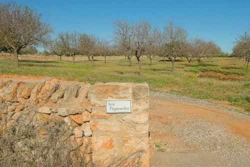 Villa Finca Ses Figueretes