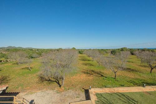 Villa Finca Ses Figueretes