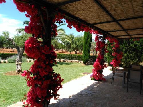 Agroturismo Son Capellot