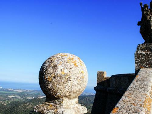 Can Rei Jaume