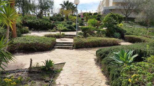 Apartamento Casa Lim�n