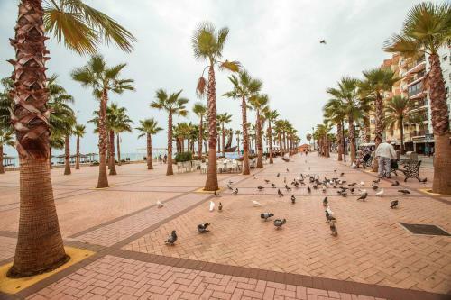 Fuengirola Penthouse Apartment