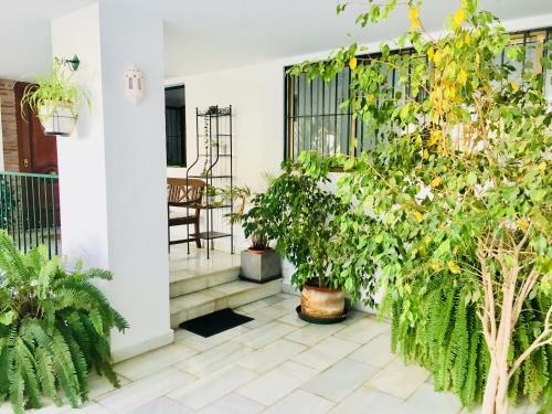 Apartamento Toreblanca Lux