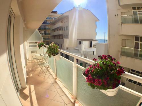 Apartamento Carvajal